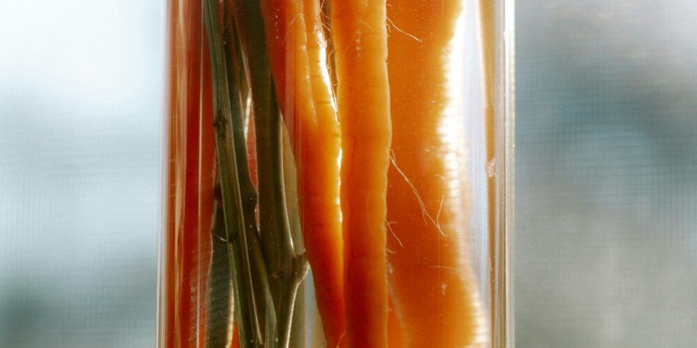 How To Regrow These 6 Vegetables From Food Scraps: Unlocking the Magic of Kitchen Gardening